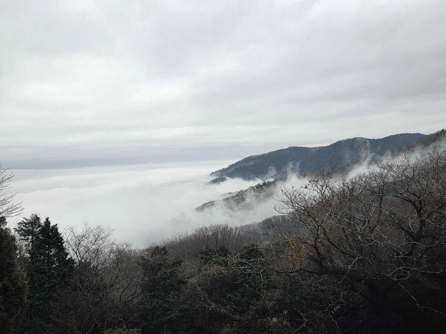 モクモク～いいね👍
