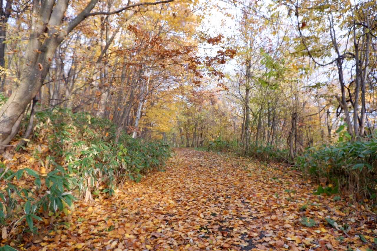 石山遊歩道入口-石山 往復コースの写真