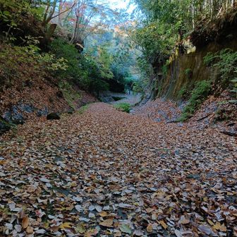 落ち葉に埋もれた古道。