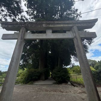 高天神社の鳥居から参道の様子を撮影してみました📷