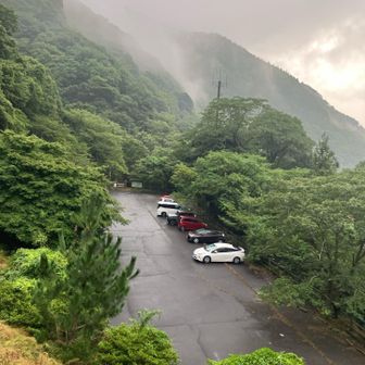🅿️日曜日で、余裕ありました
下山時は川遊びの方もいた。