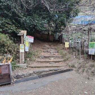 山道終了。ここから駅までは街歩き。でもかなりの急勾配で膝に堪えるわぁ。😅