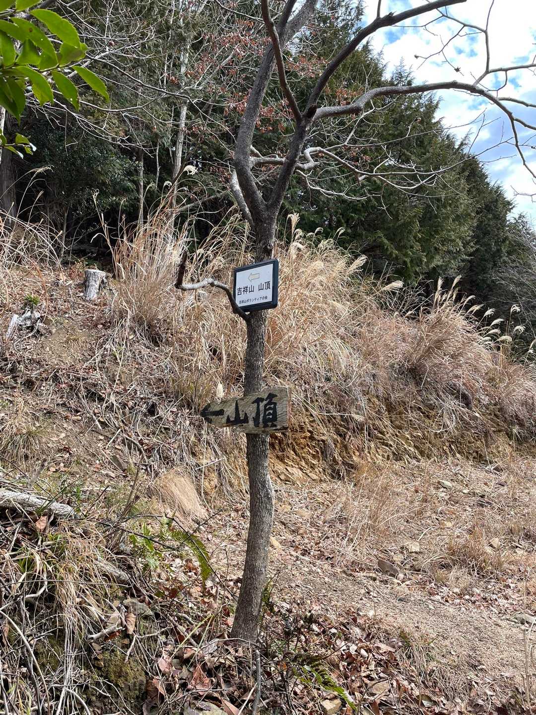 分岐　この看板ないと通過する
