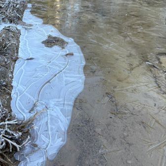 氷🧊めた溶けていない