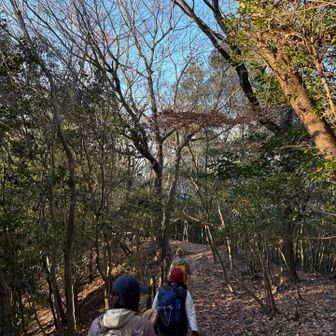 こんなとこ通ったー？って言いながら下山