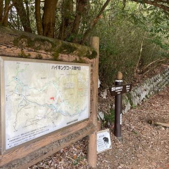 ほぼゴールです