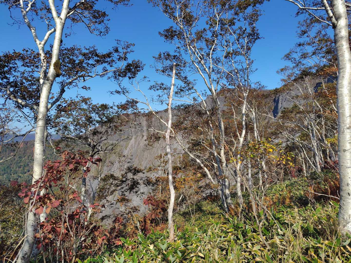 摩周岳 往復コースの写真