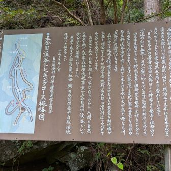 祖母山（一七五六米）古くは姥嶽（姥ヶ嶽）と呼ばれ、「平家物語」や「西遊記」（橘南谿）にも登場する歴史ある信仰の山です。江戸期、高山彦九郎は川で禊後、山頂に向かい、明治二十三年には日本アルプスの父W・ウェストンが宮崎県五ヶ所より登山しています。「日本百名山」の著者深田久弥はここ神原より登山し祖母山を「品格の山」と表現し、その一座に加えています（記念碑は神原バス停に有）。
​山は古生層からなり、神武天皇の祖母豊玉姫命を祀ることからこの山名になったと言われています。山容は深く変化に富み豊かな自然や原生林、渓谷美を有し、森から生まれる水は大分県の母なる川「大野川」の源流になります。
​森の中では絶滅危惧種のキレンゲショウマをはじめ貴重な動植物が生息し、明治四十三年、植物学者牧野富太郎は山頂付近でウバダケニンジンを発見しています。
​この豊かな森や自然と親しみ、学び、守りながら人間と自然の共生を願い、大分県森林環境税事業で五合目周回渓谷トレッキングコースを整備いたしました。
​未来へ残すべき国定公園「祖母・傾」の水質保全や自然環境保護にご協力下さい。
​平成二十年三月
自然環境村神原・緒方循環運営委員会