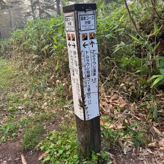 トムラウシ山まで8.5km💦