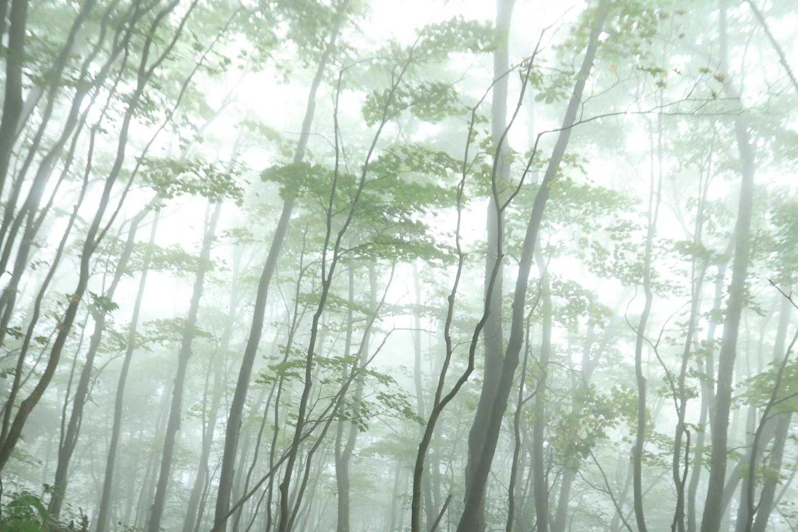 青麻山 周回コースの写真