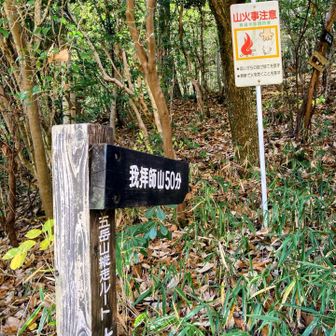 少しの休憩終わり
峠から我拝師山へ上がります