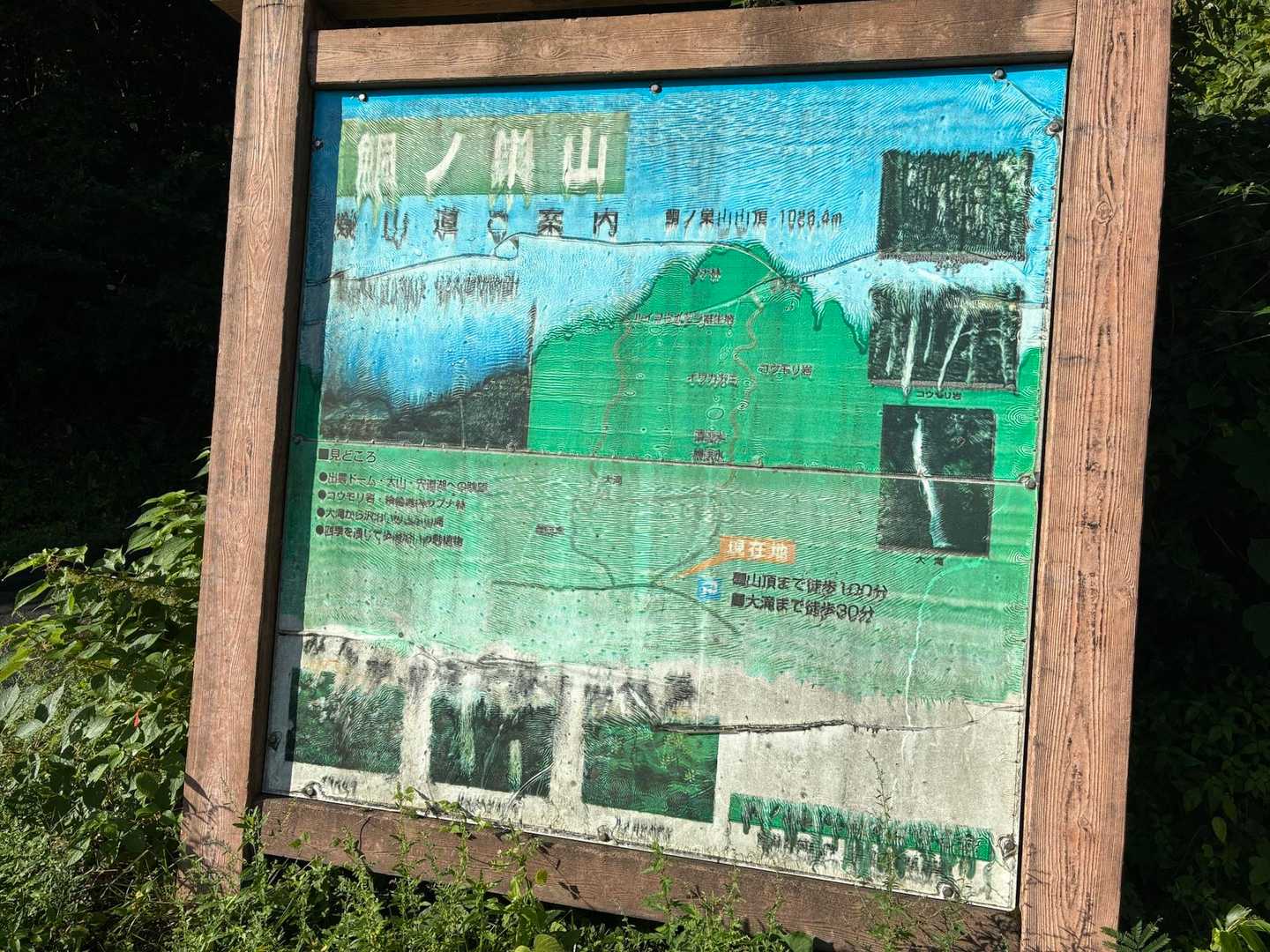 鯛ノ巣山 周回コースの写真