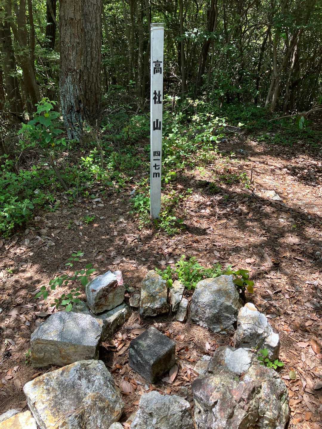 高社山 往復コースの写真