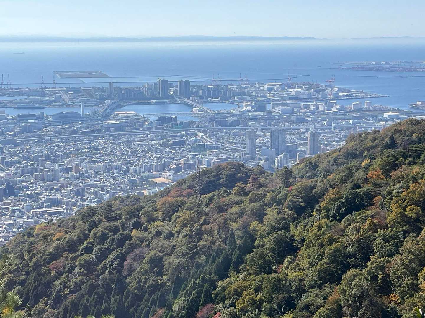 神戸の街並みも一望🫡

この景色が見られるから
何度も登りたくなる
六甲山系です🤩🤩

🐻も居ないしね
多分….. 😅
えっ、いるのかな？😰

🐗は遭遇したことあるけど