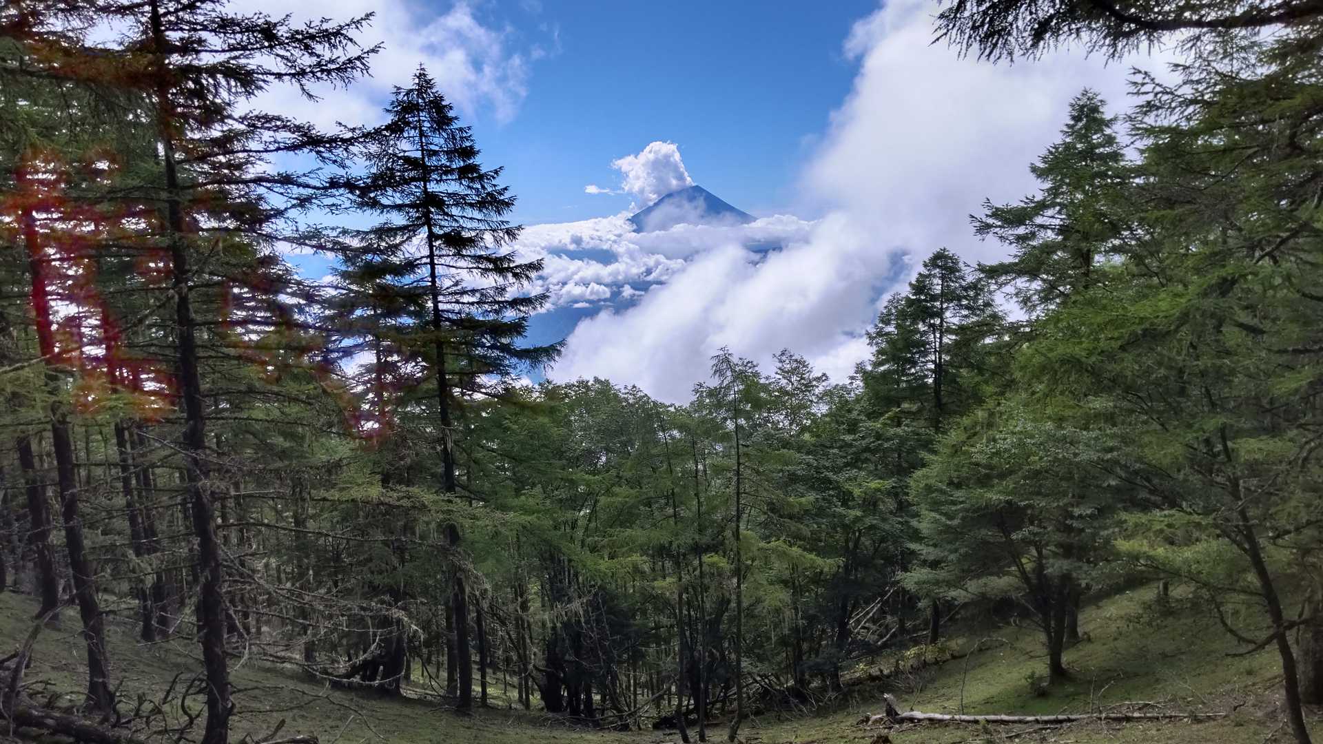 山頂より富士山が見られた