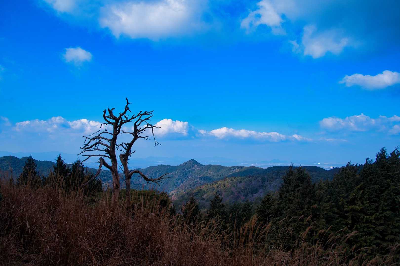 キレイに見えていますが、強風です🌪️寒いです🥶
真ん中の三角お山は、猪の鼻🐗です。そして、今日歩いてきた尾根です。頑張って歩いてきました。