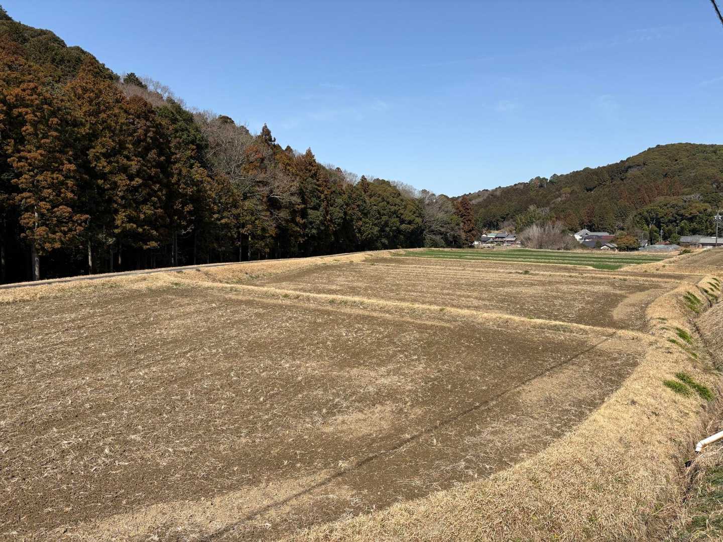 段々畑
きれいだなぁ
お疲れ山でした