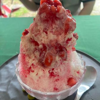 全身に沁み渡る美味しさでした🍧😭💕