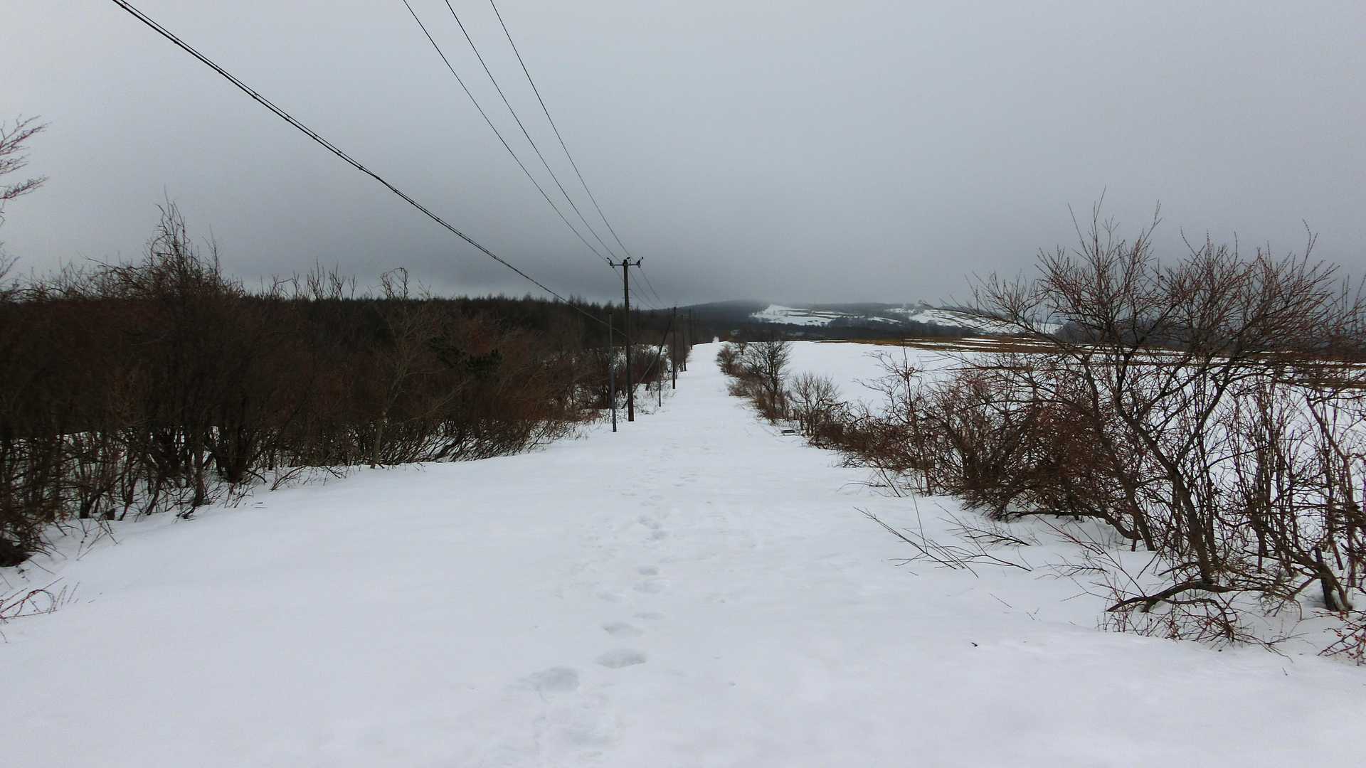 ここまで来る間、雪が薄くてわかんの爪が直接アスファルトに当たってる感触がわかる😆こういう道には浮力に優れるスノーシューの方がいいかもですね！この後に出てきた急坂下りや階段下りにはワカンは楽に下りれました😊