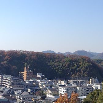 白毛山が遠くに見える👀