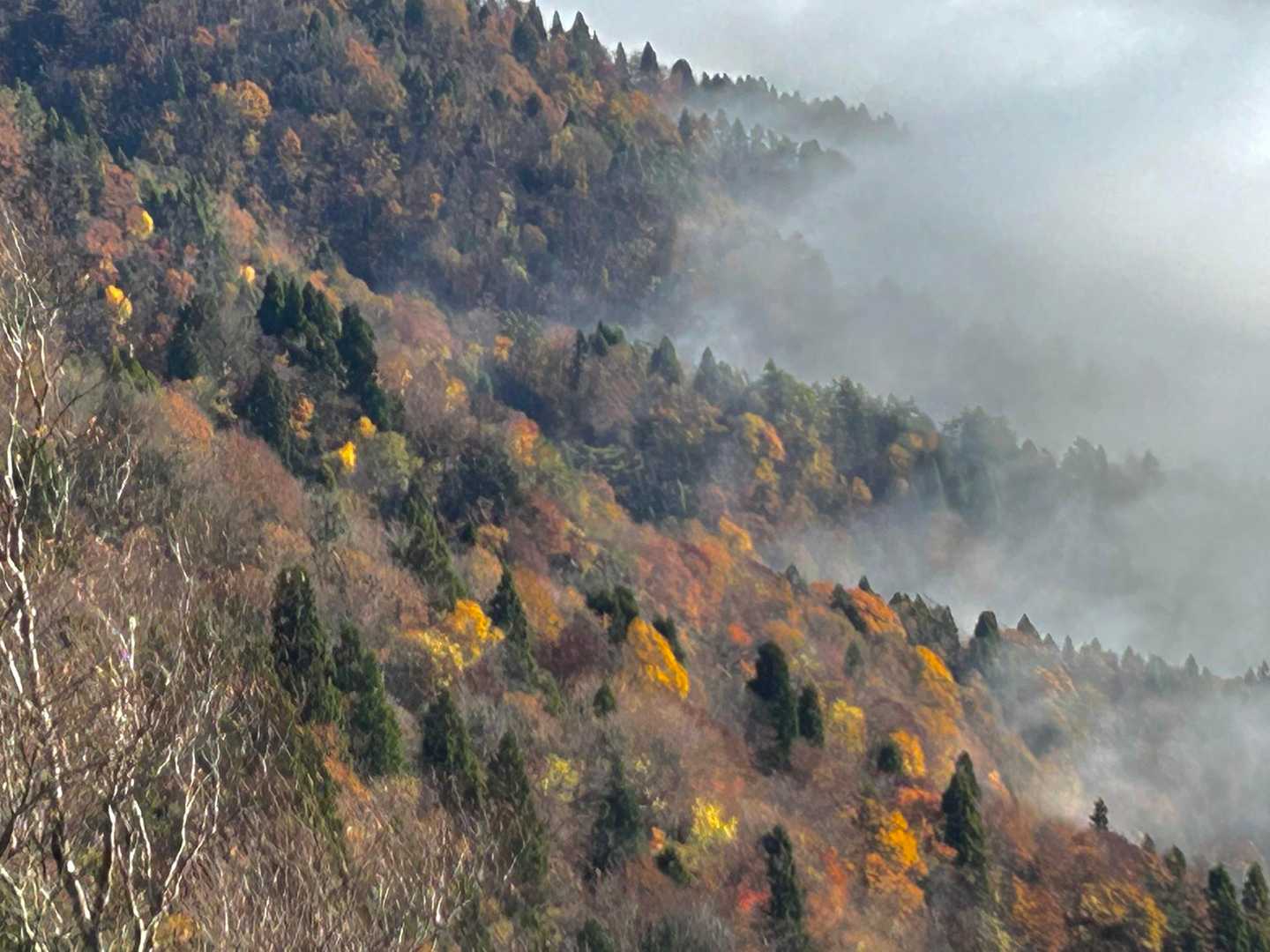 根来坂峠-白石山-百里ヶ岳 往復コースの写真