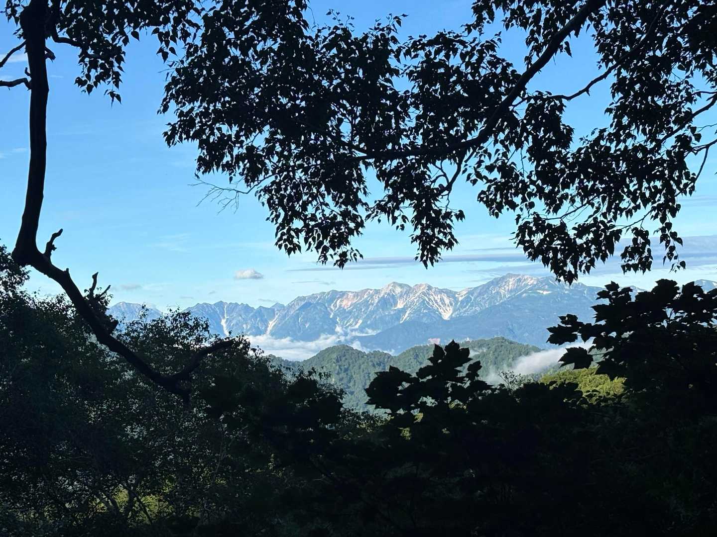 北アルプス👀