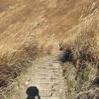 亀の池の方へ降ります