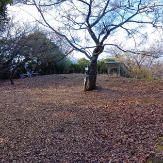 (36)第６の鷲頭山山頂391m到達👣既に全行程の8割方踏破済みだし、沼津アルプスの最高峰⛰️を攻略した事で、ここに来て初めて少しの達成感と安堵感🌟