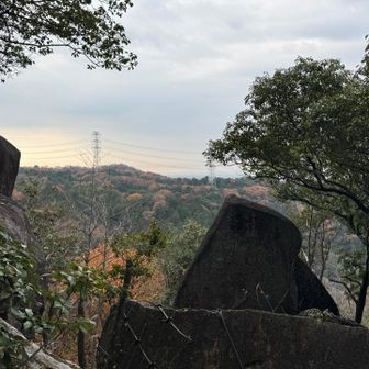 遠くではまだまだ紅葉が🍁
