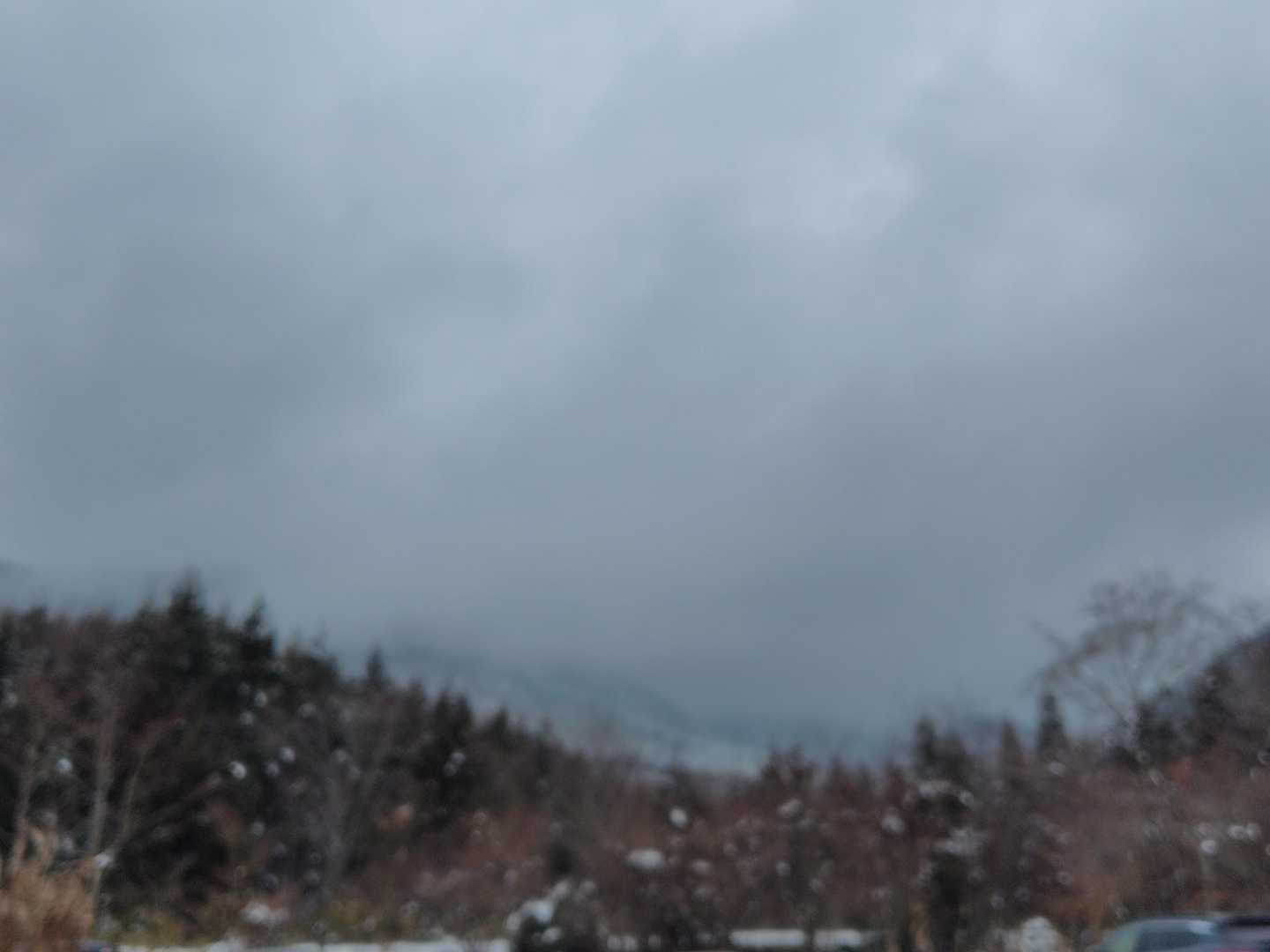 無事下山しました😊
上のほうは見えなくなりました🥲
今年もいろんな山に登ってみたいと思っています🤗