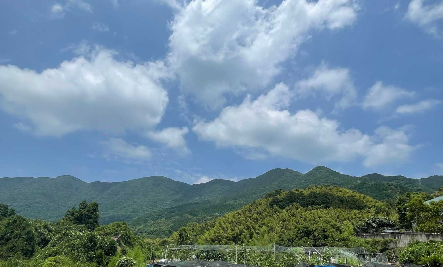 下界から見る金剛山と一ノ岳、二ノ岳、三ノ岳
下から見てもどれがどれなんだかわからんなぁ。。😂