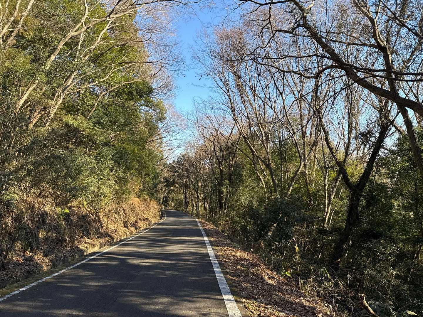 しばらく車道歩き