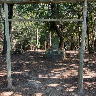 素朴な鳥居です。