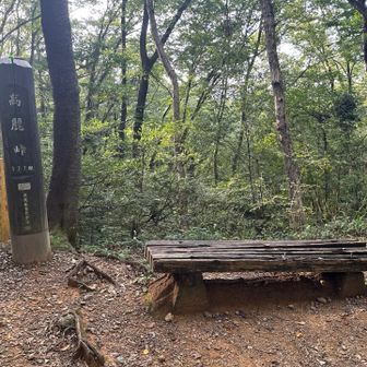 萩の峰