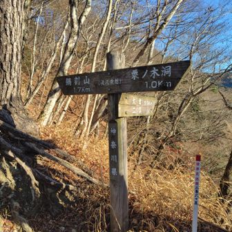 後沢乗越到着🌈午前8時48分。大倉駐車場から約2時間で到着