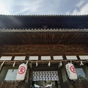 来たー