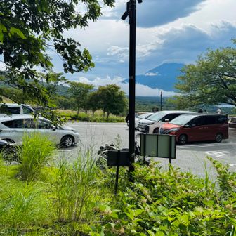 駐車場はたまたま空いてました。