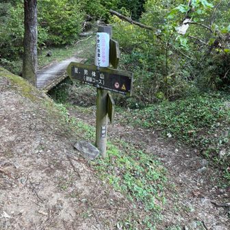 上級者ではないが、健脚コースに行こうと思います。
