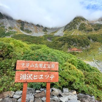 確かに、スッキリ晴れてはいない。紅葉のピークはもう少し後か。
