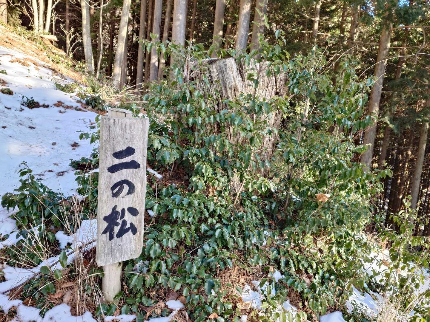 二の松は切られてる…