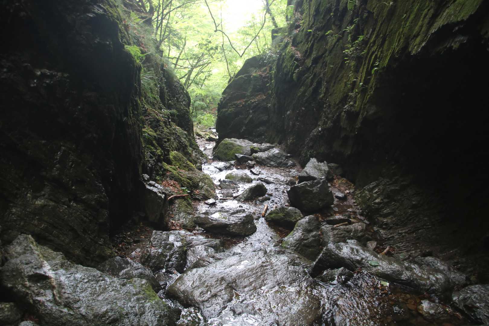 岩の間を流れの一部になった気持ちで通っていくのがマジで楽しかった！