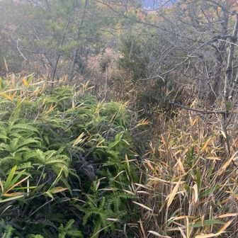 道わかんないよー😫