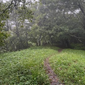 東屋方向