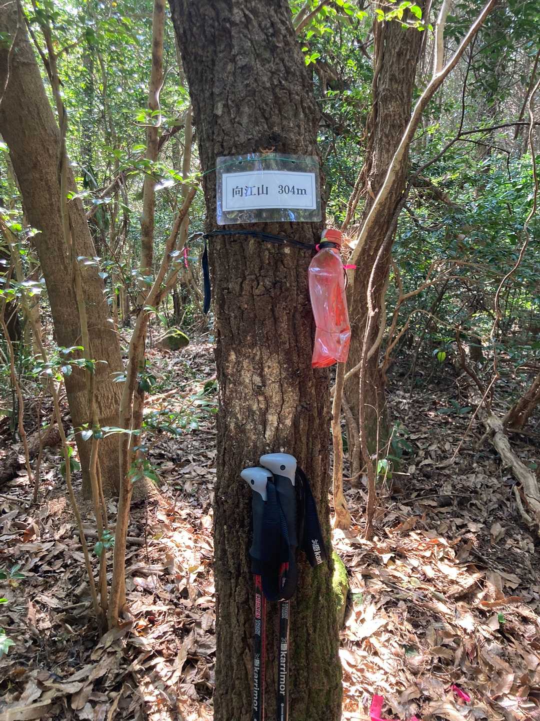 向江山山頂✨