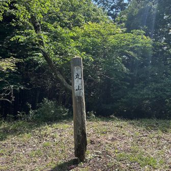 💁🏻‍♂️一応、小高い登山コース通りで丸山へ(👻道路が並行して通っているのでわざわざ上がる⤴️とかなんか気持ち的に複雑だけど…しかもこれが😱ターニングポイントになるとはつい知らず‼︎)