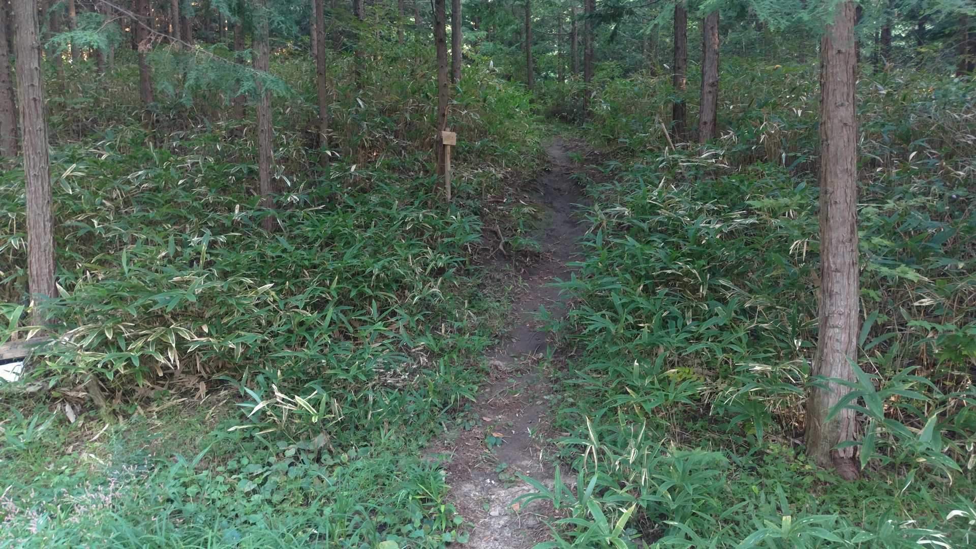 駐車地前が登山口です😊