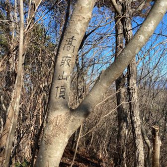 ココも山名板は無くなっていたけど
幹に書いてありました😅