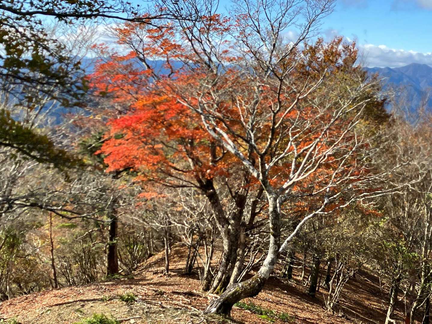又剣山 往復コースの写真