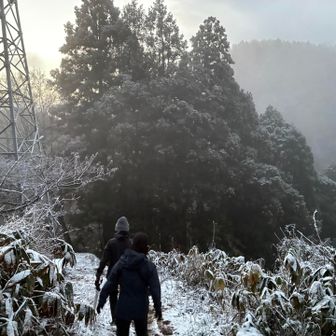 明るくなって景色が見え始めたー