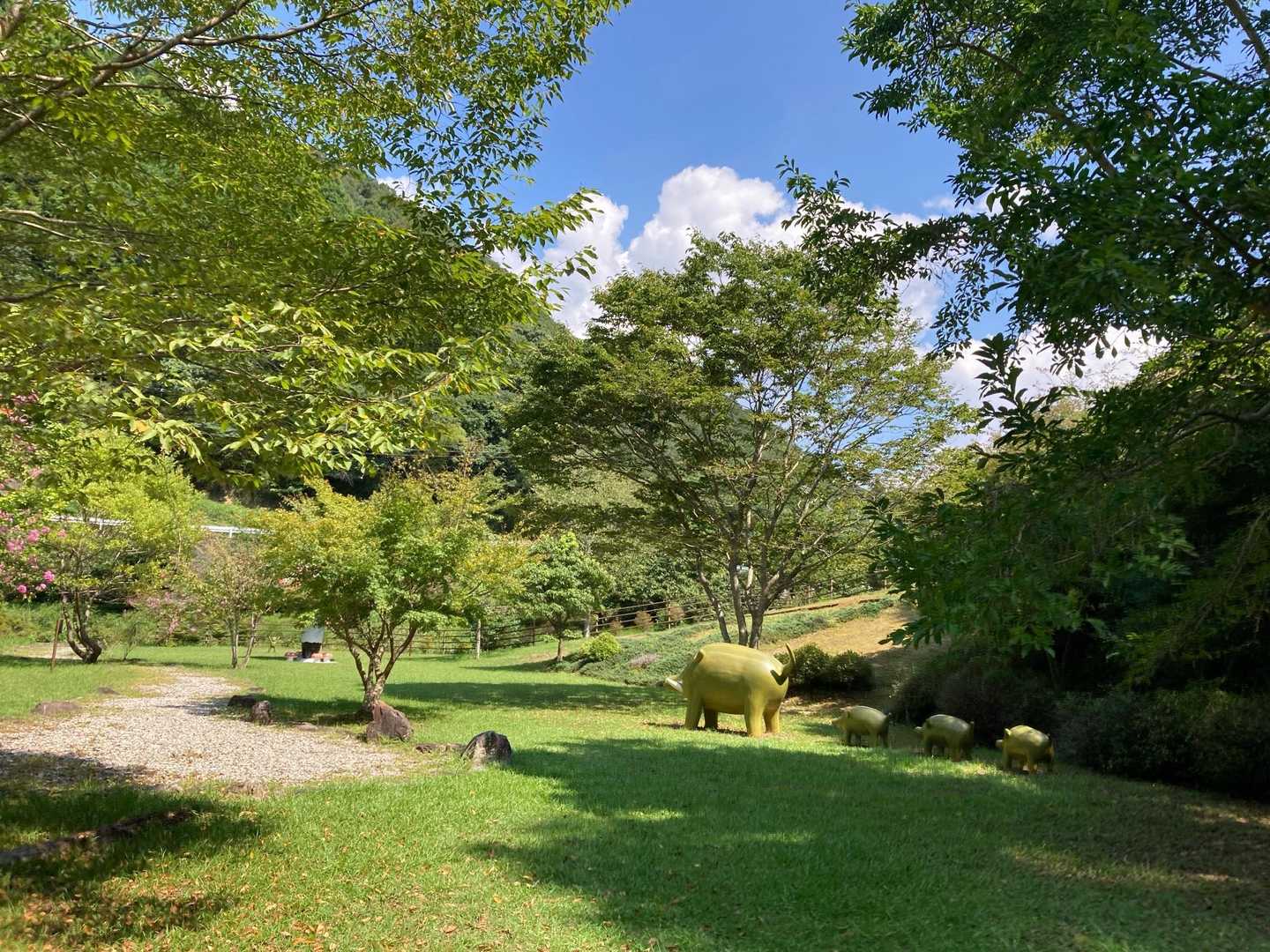 今日もイノシシ親子がお出迎え